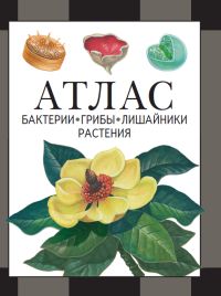 Бактерии, грибы, лишайники, растения : атлас Черепанов И. В.